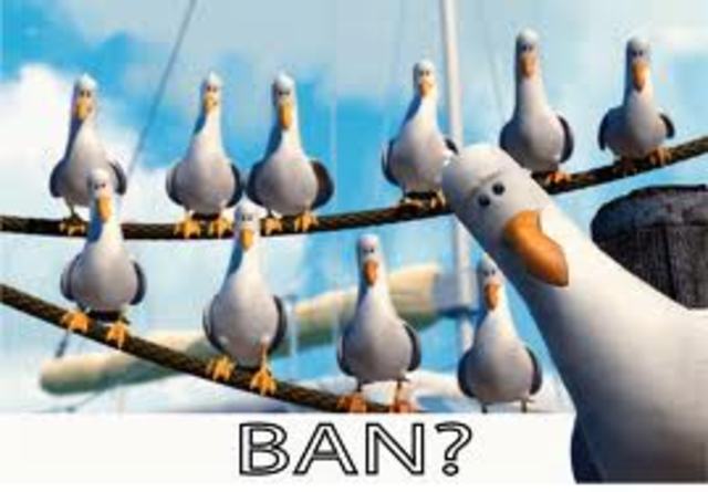 Dr. Denis sues Antoine Mauroy's widow