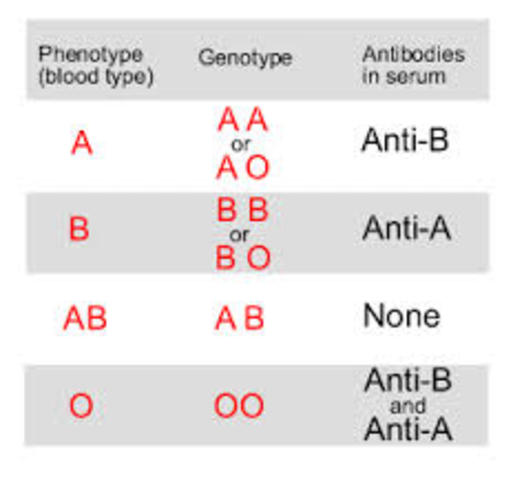 Blood Types