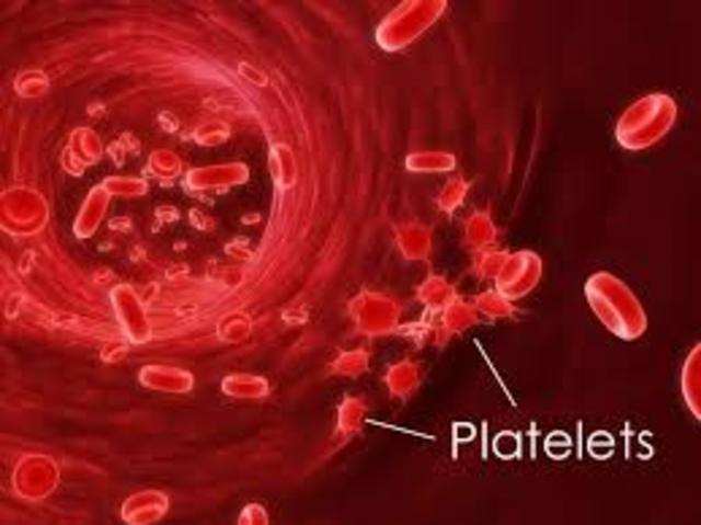 The first Discovery of Platelets