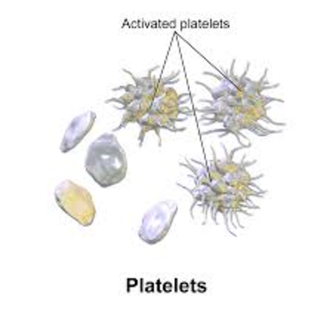 Platelets
