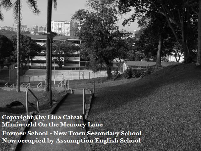 New Town Secondary was born!