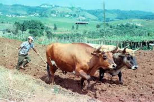 Revolución de la tecnología en la agricultura