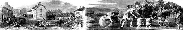 The Irish Potato Famine