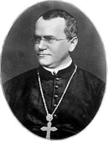 Se descubre el mecanismo de la herencia  padre de la genita