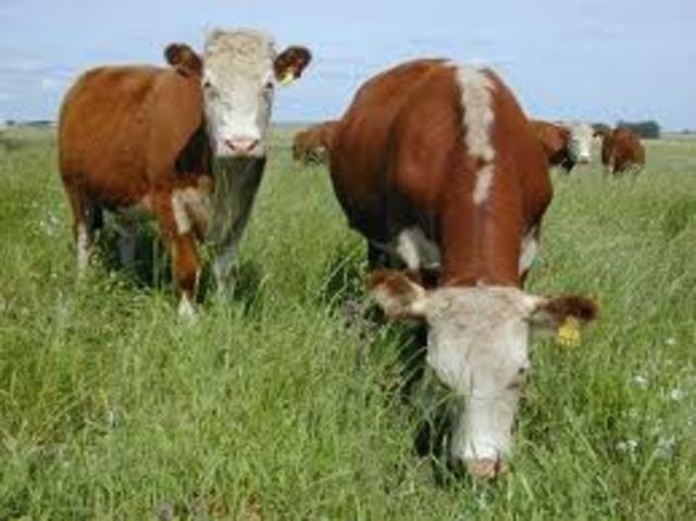 Revolución tecnologica en la agricultura