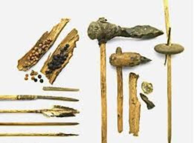 Tecnología Primitiva 250 000 A.C.
