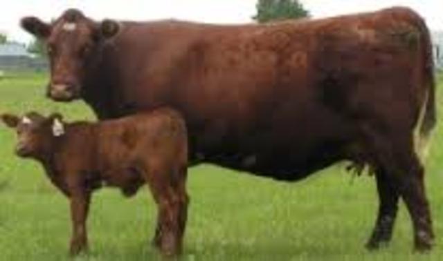 Revolución Agrícola