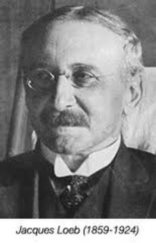 La invención de la partenogénesis artificial (Jacques Loeb)