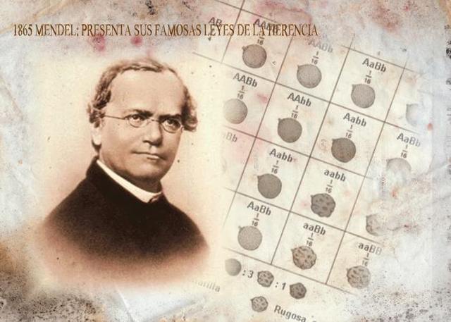 Mendel: la herencia genética