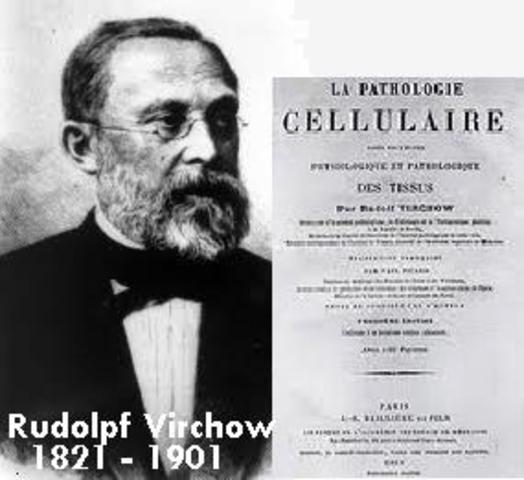 Rudolf Virchow y la teoría celular