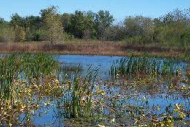 National Environmental Policy Act