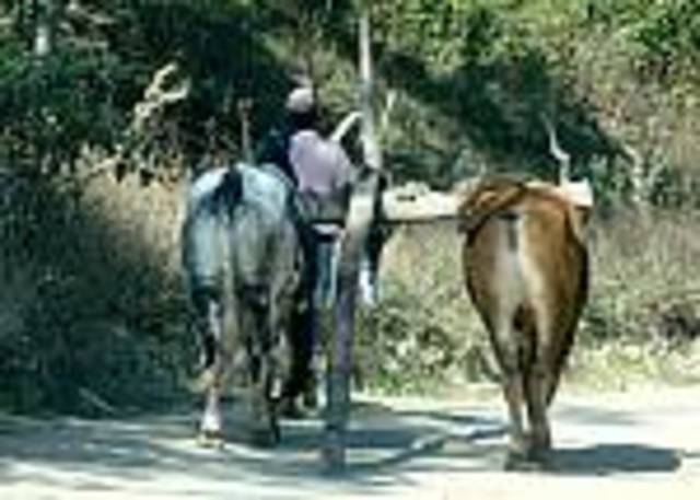 Octavo avance tecnológico