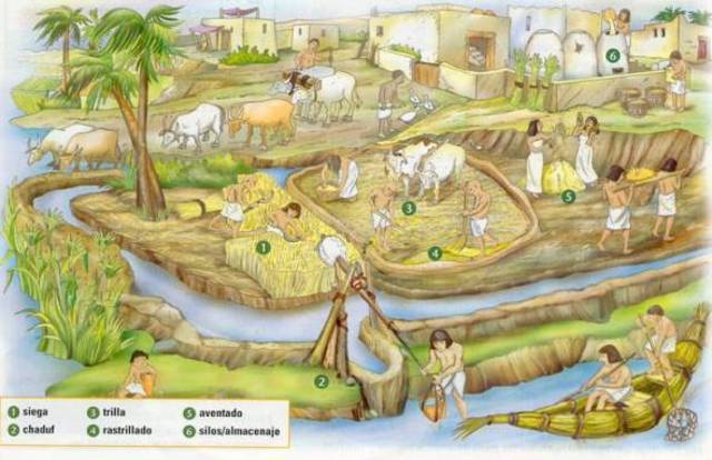 10000 a.C. Inicio de la agricultura.