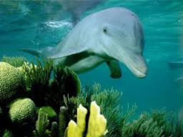 expedición del Challenger,