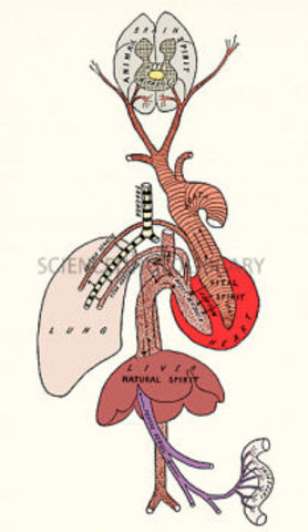 Big blood carrying discoveries 130-200 CE