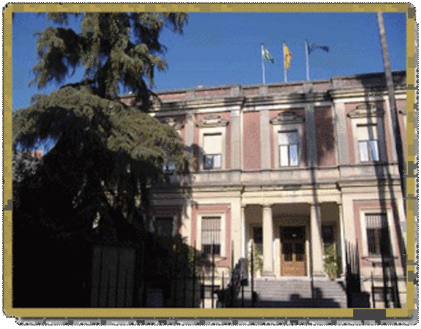 Universidad Borbonica