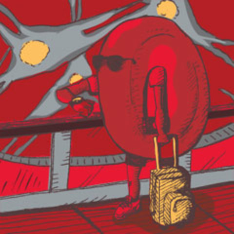 Details on red blood cells