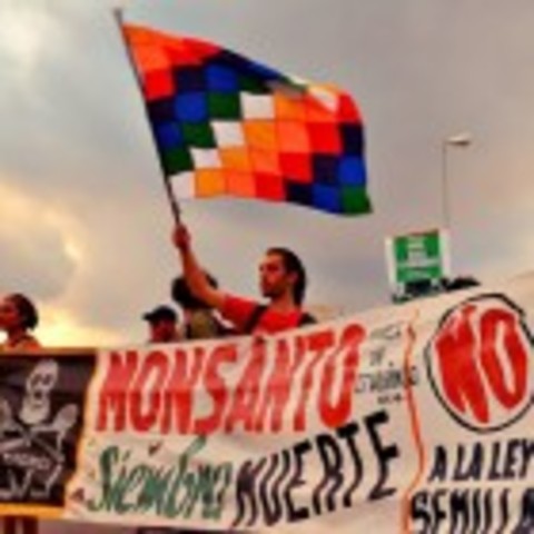 Rechazan el informe de impacto ambiental de Monsanto en Córdoba.