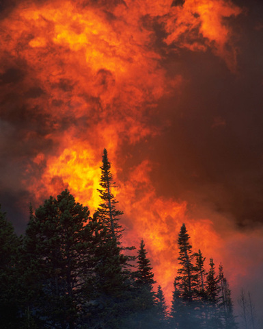 The "Big Burn" destroyed 3 million acers in northern Idaho.