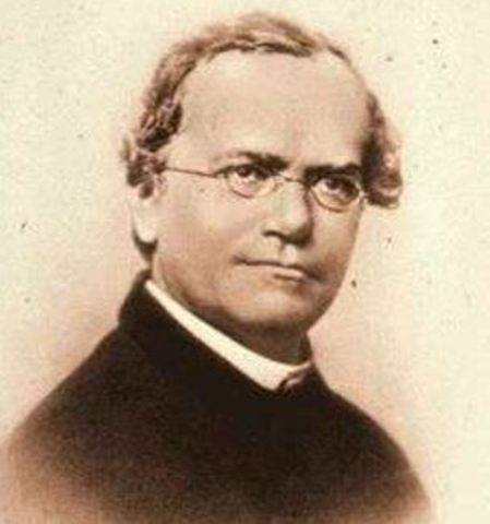 Las Leyes de la Herencia