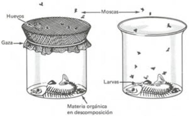 La Generación Espontánea