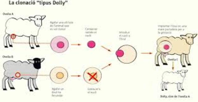 Clonación " Dolly"