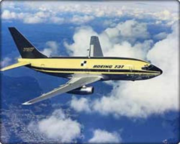 The Boeing 737