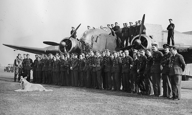 RAF* shot down over 185 German planes.