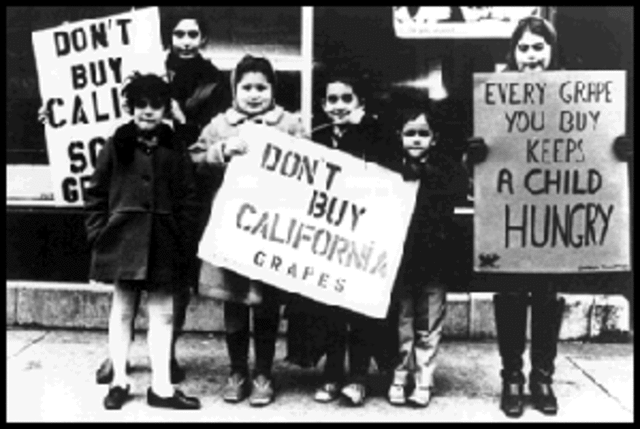 The Nationwide Boycott