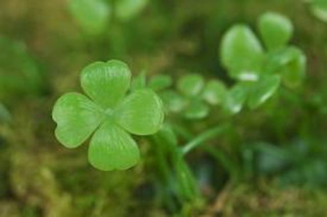 Descubrimiento de abonos naturales