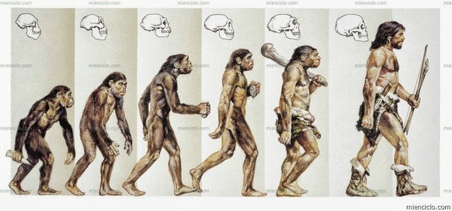 Teoría de la Evolución