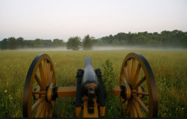 Interesting Facts and Figures