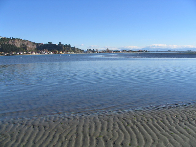 Morning at the estuary