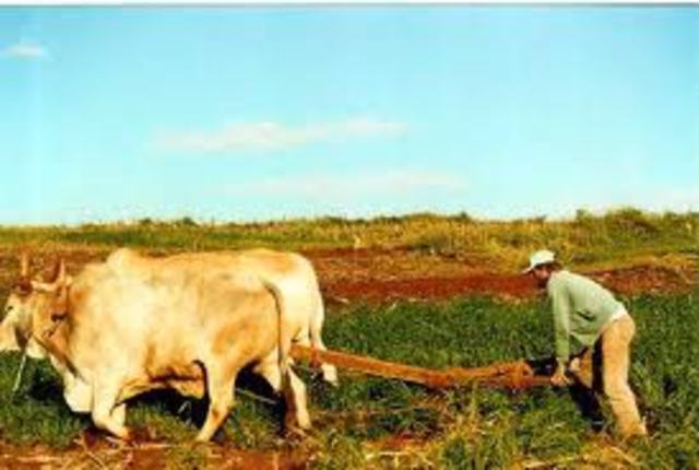 REVOLUCIÓN TECNOLÓGICA EN LA AGRICULTURA