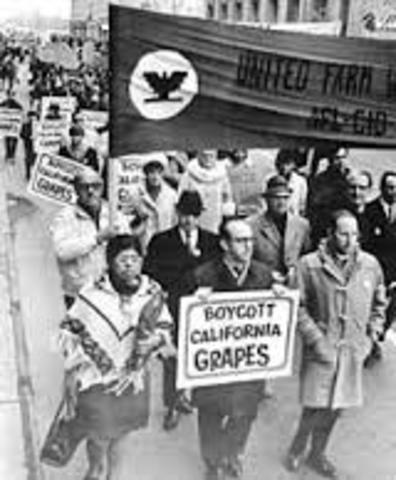 UFW's nationwide boycott of grapes picked on nonunion farm