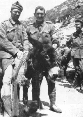 Simpson and his donkey, Gallipoli