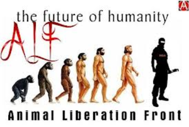 Animal Liberation Front  (ALF)