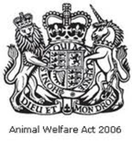 The Animal Welfare