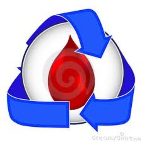 pulmonary circulation