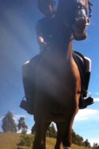 Got my Pony, Freddie or Justacruza