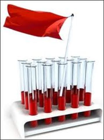 500BCE arteries and veins are dissimilar