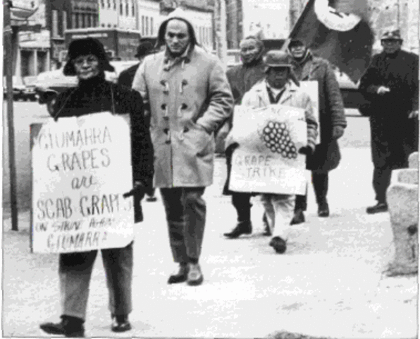 United Farm Worker's Nationwide Boycott