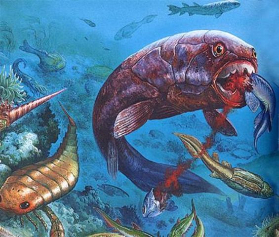 Primeros peces oseos