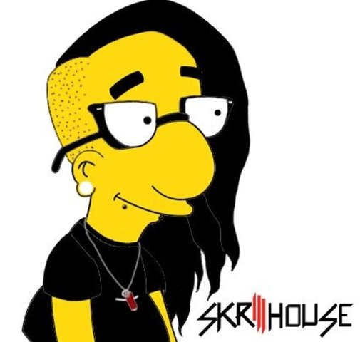 Skrillex (Love Him or Hate Him)