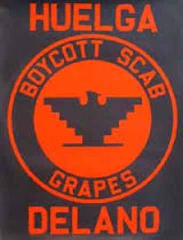 UFW’s Nationwide Boycott of grapes picked on nonunion farms