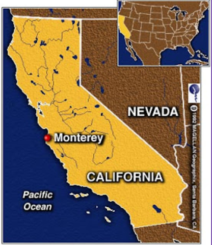 Monterey Pop festival