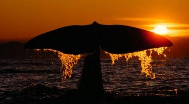 Our Stories Combined