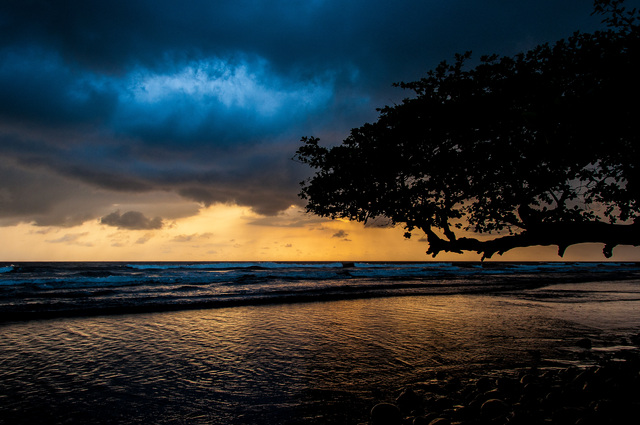 Vous mangerez sur la plage