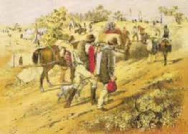 Gold Rush in Victoria