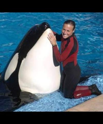 Dawn Brancheau Killed